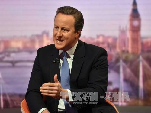 Britischer Premierminister David Cameron beharrt auf Verbleib in der EU - ảnh 1